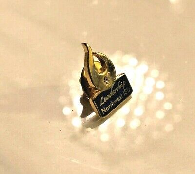 Award Pin Leadership Northwest ISD Independent School District Jeweled Pin