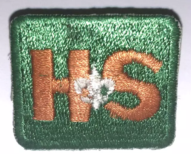 Health & Safety Staff Pin (H&S Square) 2001 National Boy Scout Jamboree