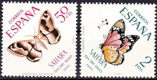 Spanisch-Sahara,Schmetterlinge