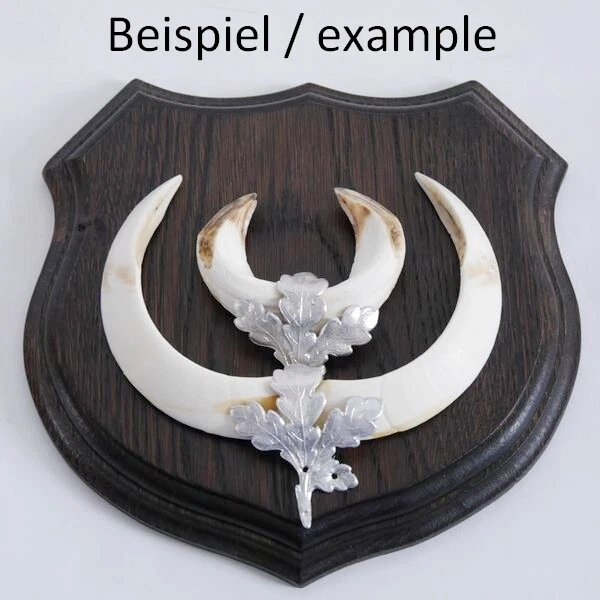 5x Wappenschilder Jabalí AF17cm Escudo de Trofeo Hoja de Roble Portada Fácil 3