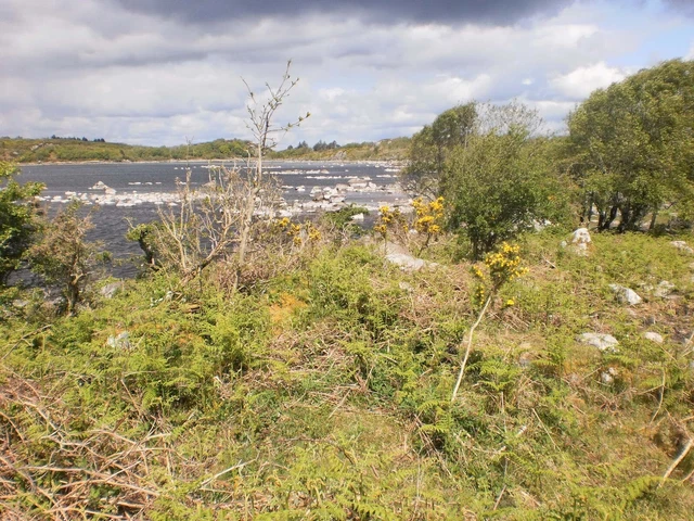 Plot of land for sale in Southern Ireland. 3