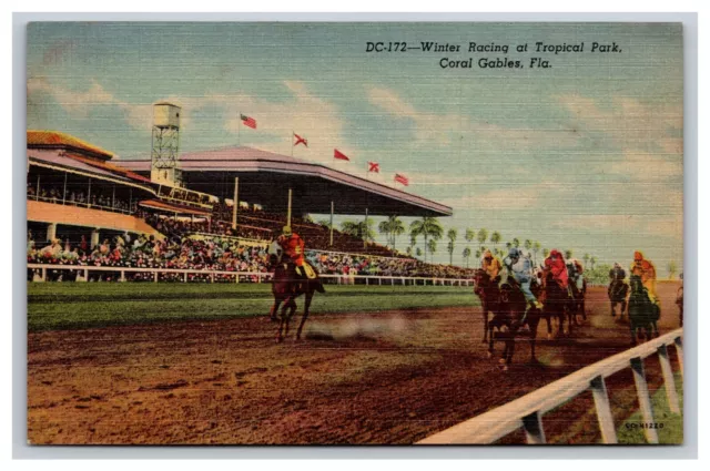 Winter Horse Racing At Tropical Park, Coral Gables Florida FL Postcard