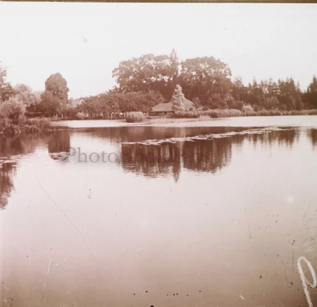 FRANCE Étang Paysage c1920 Photo Stereo Plaque verre Vintage V25L8n