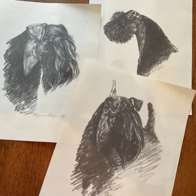 Kerry Blue Terrier Prints by Melanie Feldges 2000