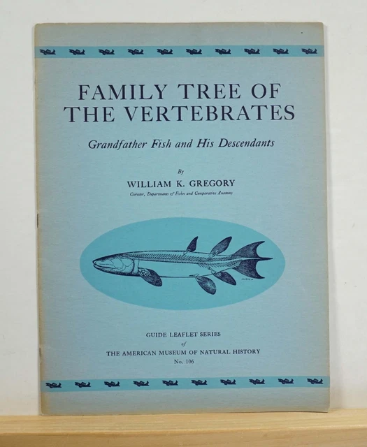 FAMILY TREE OF the Vertebrates 1941 Gregory Fish Marine Life Fossils ...