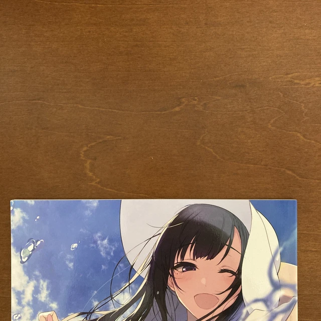 Ane naru mono 7.5/ Pochikoya Art Book Illustration