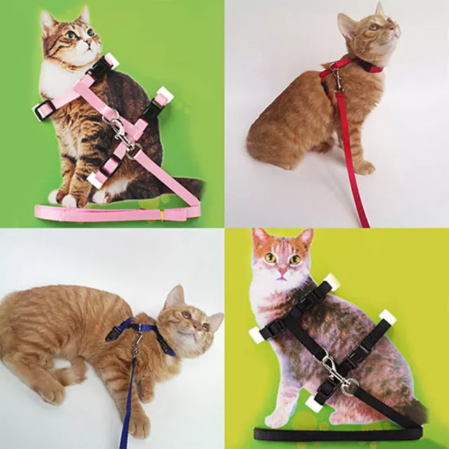 Cat Puppy Adjustable Harness Collar Nylon Leash Lead Safety Walking Rope
