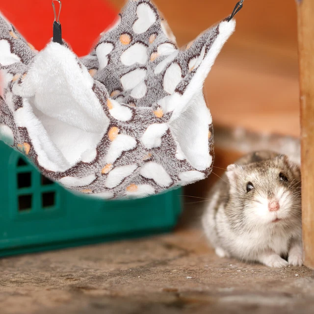 Comodo letto appeso criceto amaca porcellino d'India bel letto criceto piccolo animale domestico