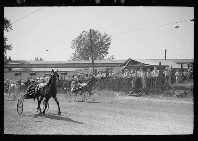 Sulky race Central Iowa 4-H Club fair Marshalltown Iowa 1930s Old Photo 5