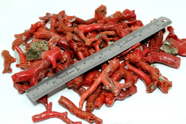 Natural Italian Mediterranean Red-Orange Coral Sea Rough Loose Branches Lot