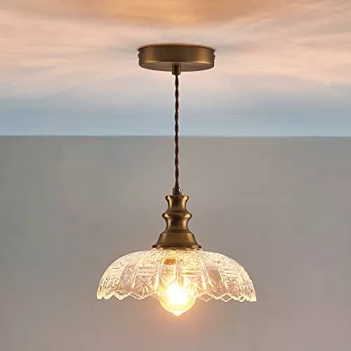 1-Light Pendant Light with Oil Rubbed Bronze Metal Glass Shade and Adjustable