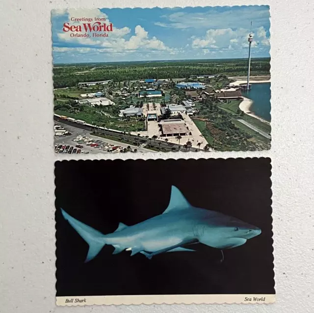 Postcard Sea World Orlando, Florida Bull Shark Aerial View, Set of 2 (Unposted)