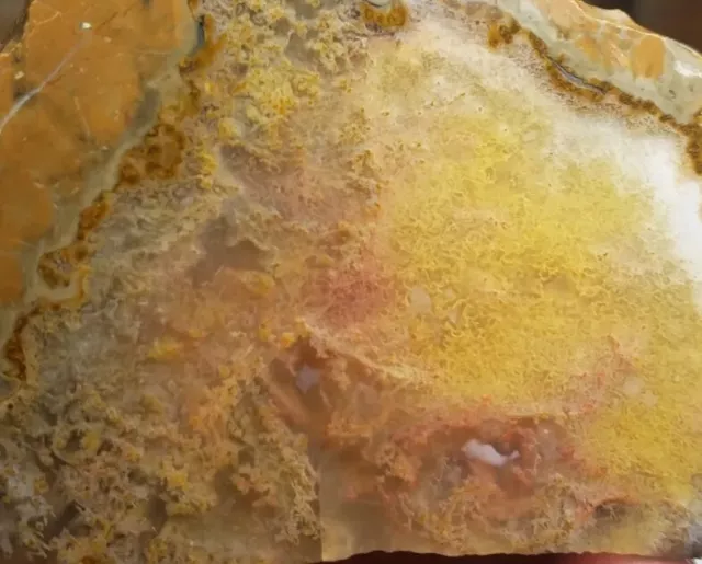 PRIDAY PLUME AGATE - Plume Bed, Prized Oregon Thunderegg - Rare Slab (31 grams)