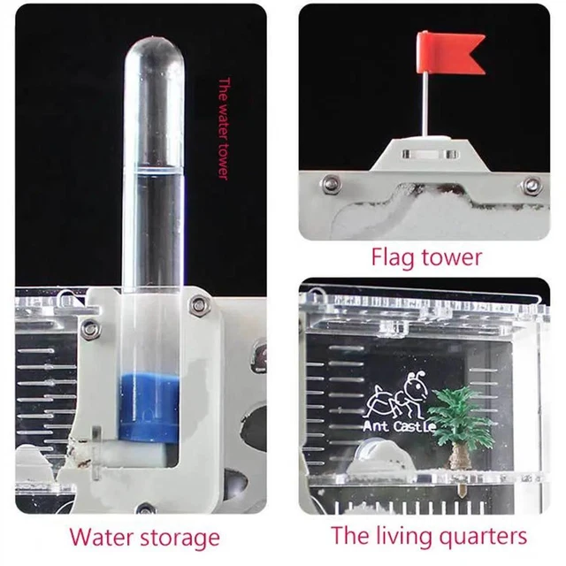 Live Ant Habitat Kit with Ant Farming Castle Perfect for Science Learning