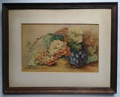 19Th. Century American School Still Life Grapes  Watercolor/Paper  Painting