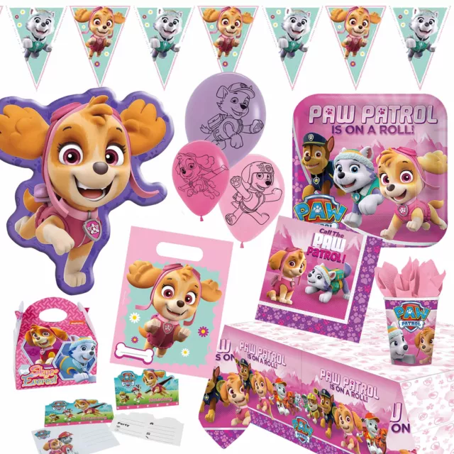 PAW PATROL SKYE -Party Deko Kindergeburtstag Kinder Geburtstag Pink Rosa Mädchen