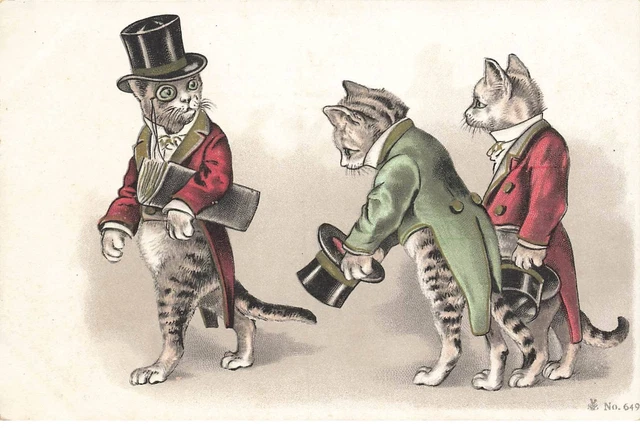 Chats humanisés habillés | Kaufen auf