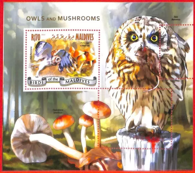 A4183 - MALDIVES - ERROR MISPERF, Souvenir sheet: 2014, Owls, Mushrooms, Birds