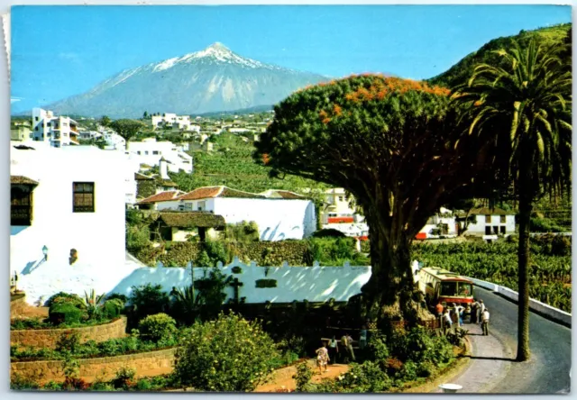 Postcard - Drago milenario y Teide - Icod de los Vinos, Spain