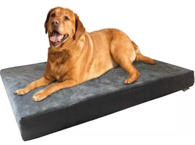 Jumbo Gray Suede Pet Dog Bed Orthopedic Waterproof Extra Large Memory Foam 55x47