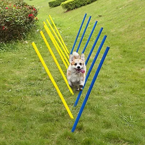Kit attrezzature per esercizi per cani all'aperto ostacoli agilità cane