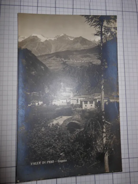 Cartolina Valle di Peio Cogolo (1926) CB516 ^