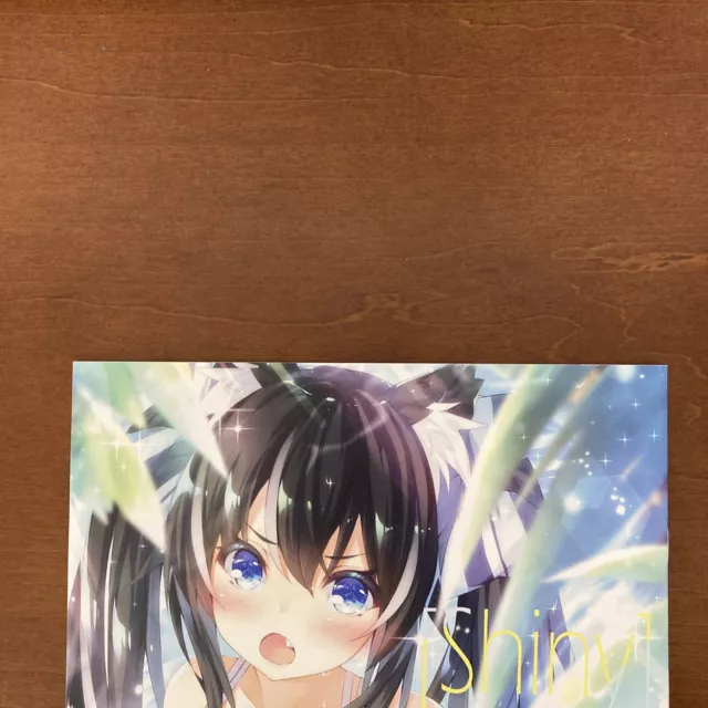 Shiny / Nekochabatake Art Book Illustration