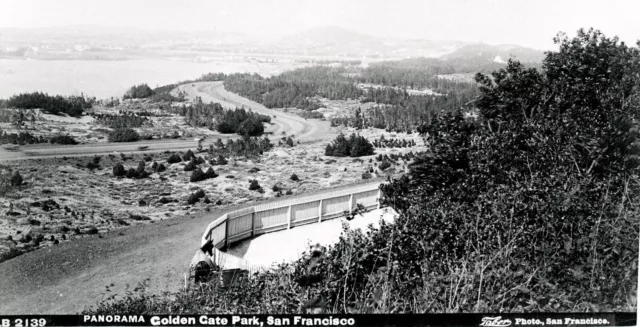 c.1891 SAN FRANCISCO~I.W. TABER PHOTO~PANORAMA VIEW of GOLDEN GATE PARK~NEGATIVE
