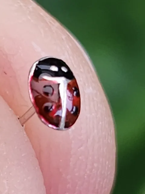 Ladybird Nose Stud Bug 22g (0.6mm) Plata 925 Alas cerradas Extremo de bola...