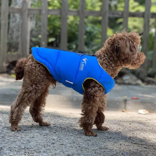 Dog Winter Jacket, Waterproof Windproof Dog Vest for Large Medium Small Dogs