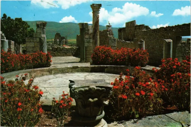 CPM AK MAROC - VOLUBILIS-La Maison aux colonnes (328978)
