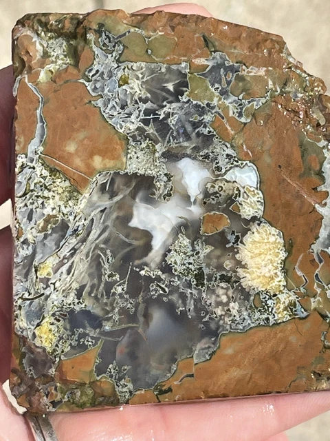 Priday Plume/Moss Agate Thunderegg slabs lapidary 99 grams