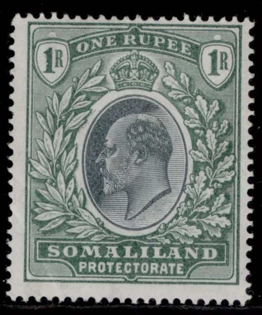 SOMALILAND PROTECTORATE EDVII SG41, 1r green, M MINT. Cat £28.