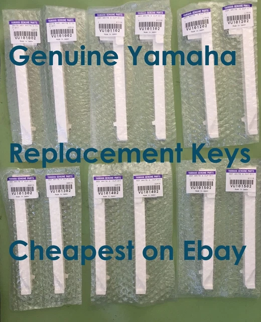NEW GENUINE YAMAHA Electric Piano Clavinova CLP CVP replacement Key