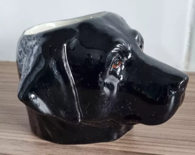 Quail Ceramics Black Labrador Egg Cup.