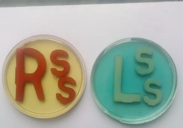 Xray Markers With Initials SS