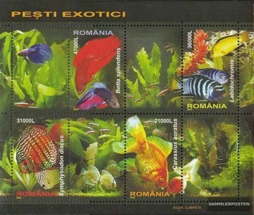 Rumänien Block 351  2005  postfrisch Zierfische, Fische  B1,7,6