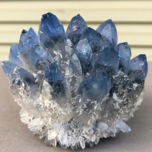 562g  New Find blue Phantom Quartz Crystal Cluster Mineral Specimen Healing