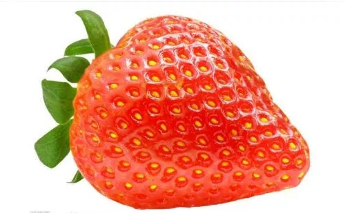 Giant Strawberry Seeds Old Fashioned Taste Sweet Juicy Fruit Seed Free Aust Post