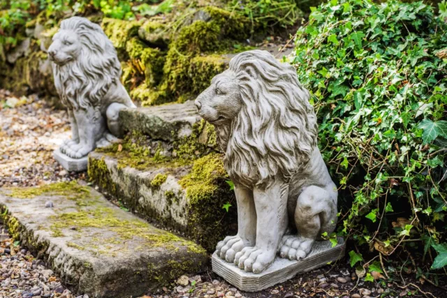 Pair of Sitting Lions Heavy Stone Cast Garden Ornament Statues 70KGS