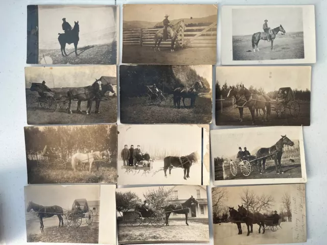 120x Horse Wagon Buggy Sleigh c1910 Antique RPPC Photo Postcard Collection Lot 3