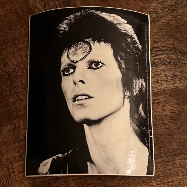 David Bowie Photo Sticker by Mick Rock 2004 Official Vintage Decal SHIPS FREE
