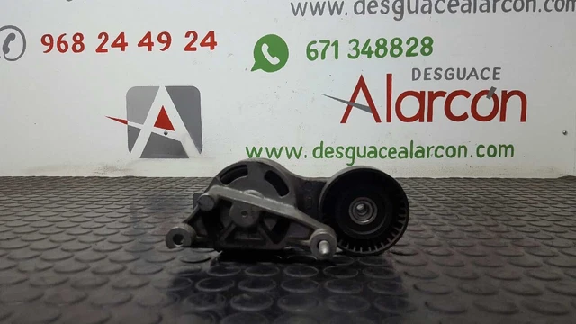 309834 Tendeur De Courroie Auxiliaire Pour Volkswagen Passat Variant (3C5) | 03G