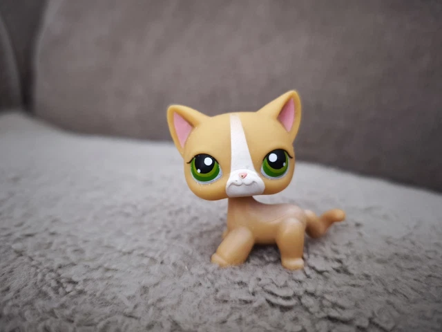 Littlest Pet Shop #468 – Chat Européen – HASBRO – Authentique – Occasion