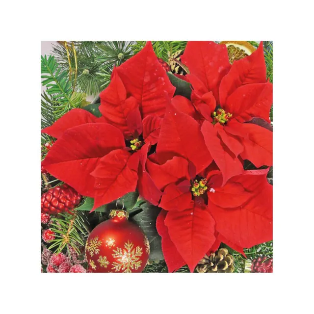 Ambiente 3 Ply Paper Napkins Red Poinsettia