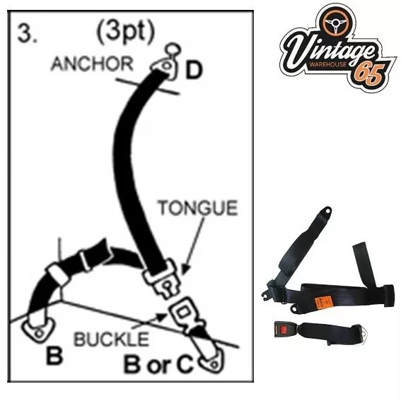 Vintage Warehouse Klassisch Retro Ford Blau 3 Punkt Static Rücksitz Gürtel Set 3
