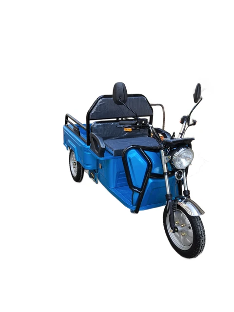 VOLTA VT5 MINI Elektro Lastendreirad 25 Km/h Cargo Transporter ...