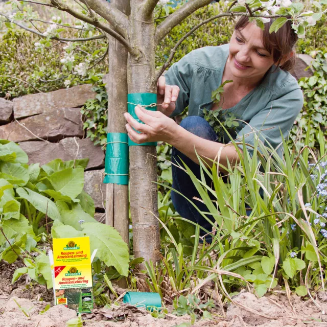 Neudorff 5 m Raupen- und AmeisenLeimring Obstbaum Schutz Maden Falle Bekämpfung 2