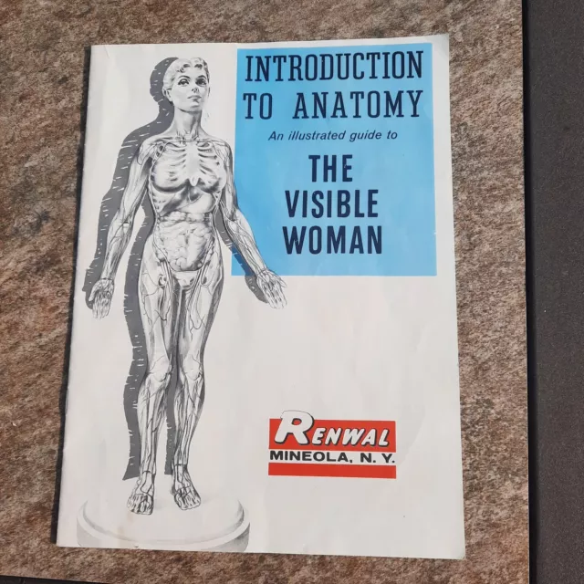 Vintage 1960 Renwal Introduction To Anatomy The Visible Woman Marcel Jovine