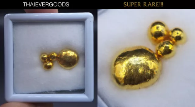 Rare Germinate Nature Leklai Gold Color Lp Huan Thai Amulet Lucky Rich Power #5